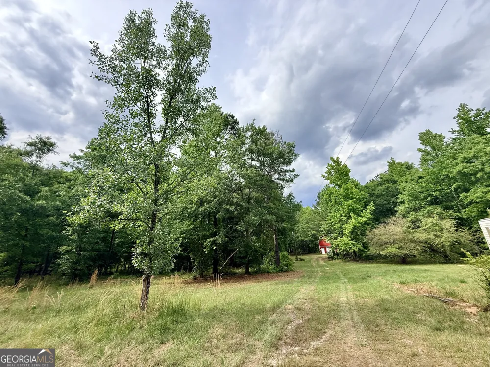 715 Fulsome Creek RD Sparta, GA 31087