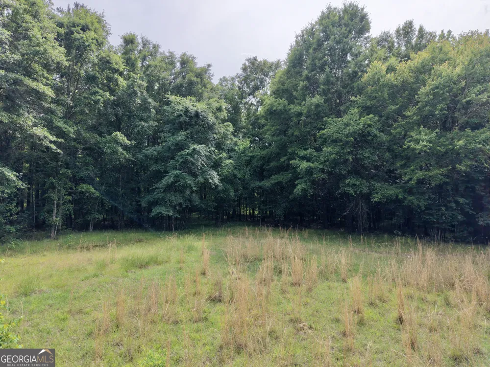 715 Fulsome Creek RD Sparta, GA 31087