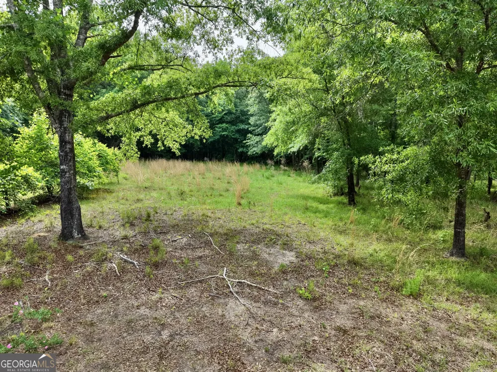 715 Fulsome Creek RD Sparta, GA 31087