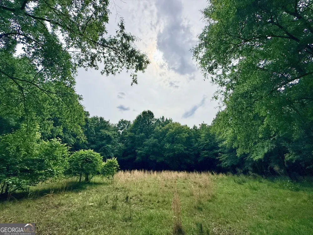 715 Fulsome Creek RD Sparta, GA 31087