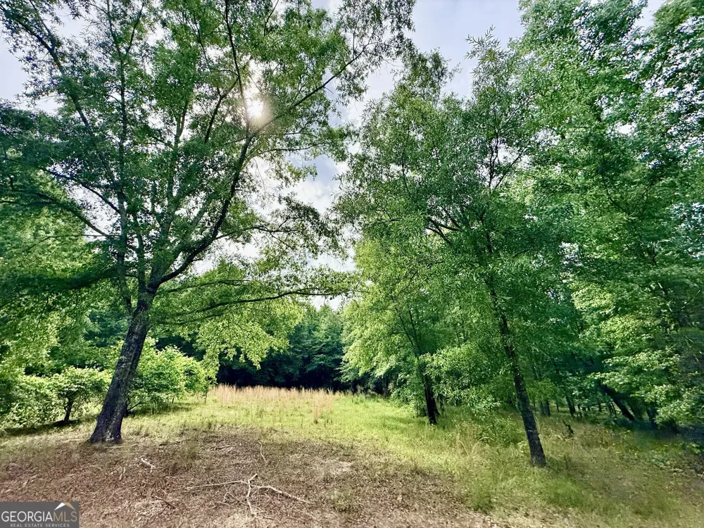 715 Fulsome Creek RD Sparta, GA 31087