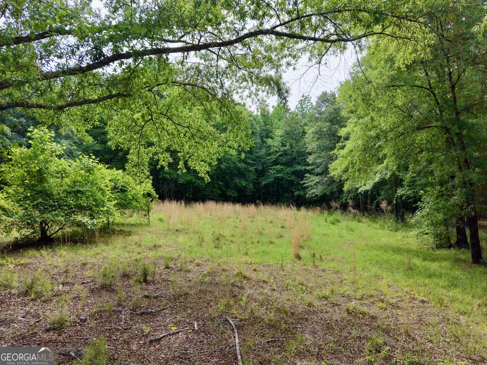 715 Fulsome Creek RD Sparta, GA 31087
