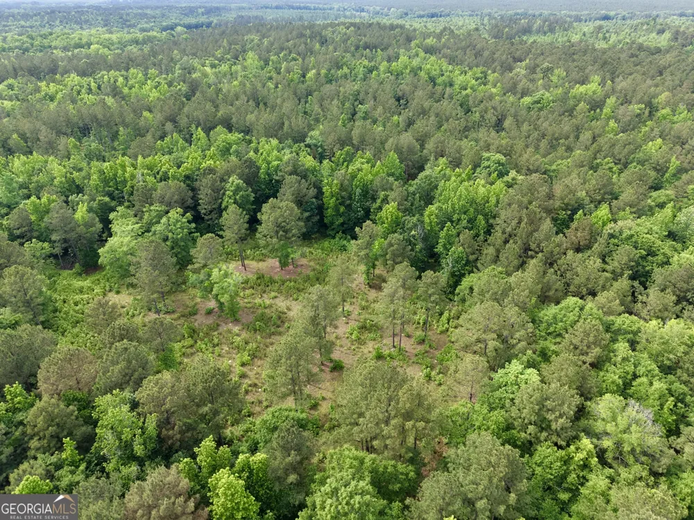 715 Fulsome Creek RD Sparta, GA 31087