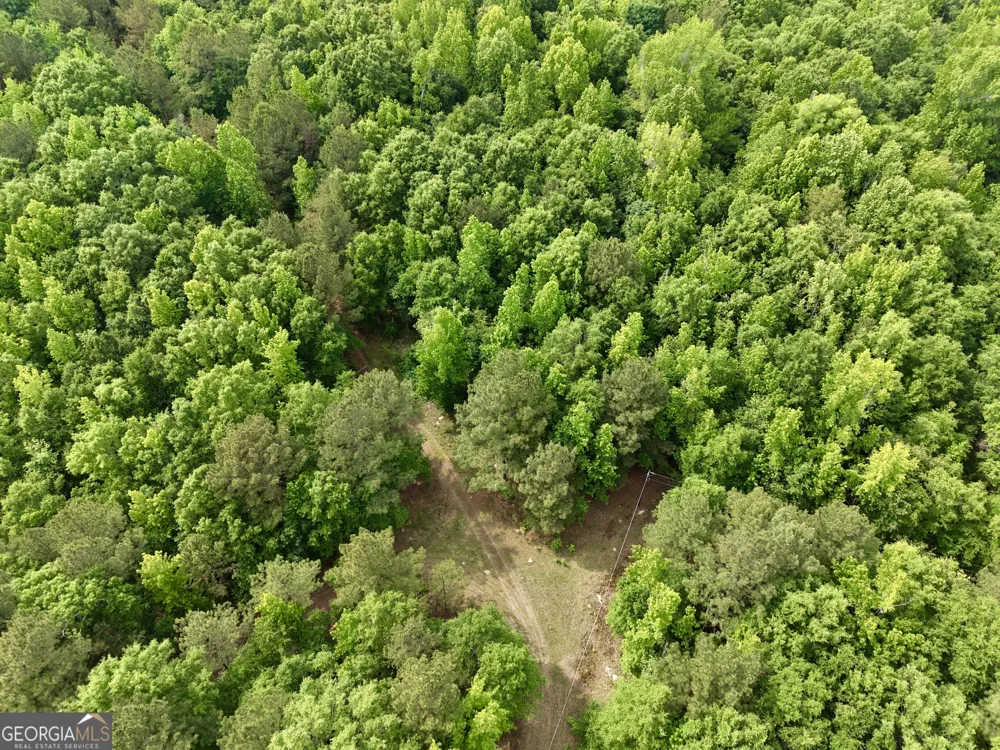 715 Fulsome Creek RD Sparta, GA 31087