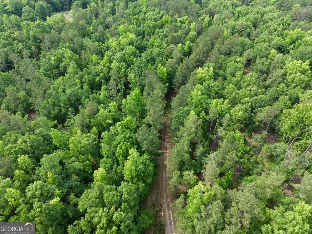 715 Fulsome Creek RD Sparta, GA 31087