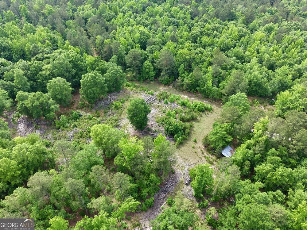 715 Fulsome Creek RD Sparta, GA 31087