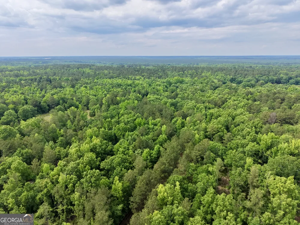 715 Fulsome Creek RD Sparta, GA 31087
