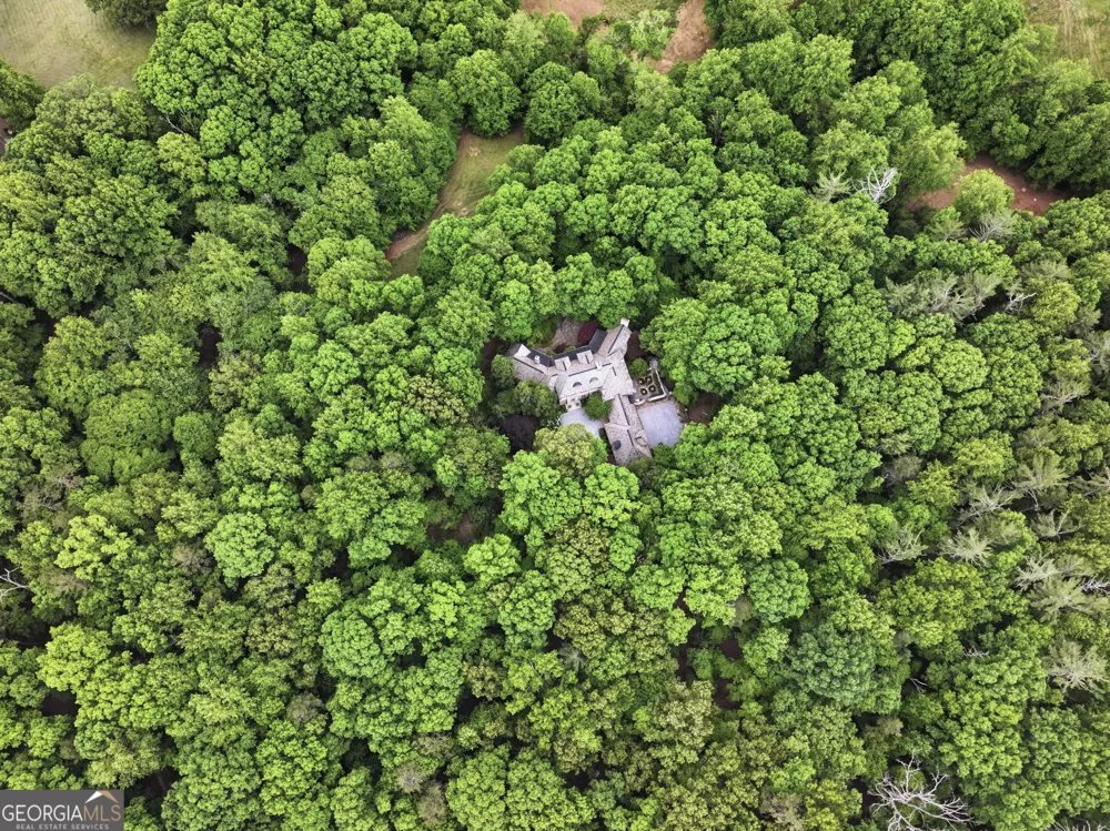1955 Alec Mountain RD Clarkesville, GA 30523