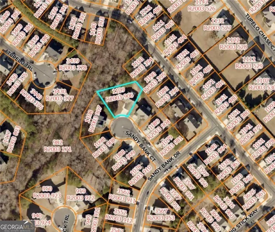 1109 Sandy Bank CT Auburn, GA 30011