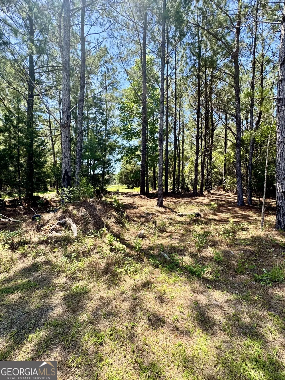 0 Nautical Mile Waverly, GA 31565