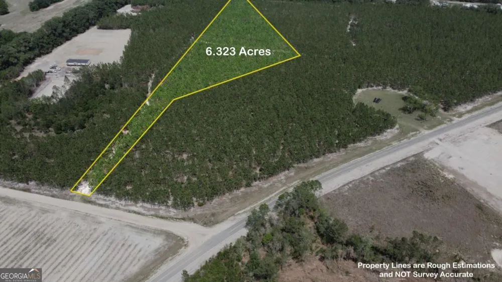 4690 Godwin RD Blackshear, GA 31516