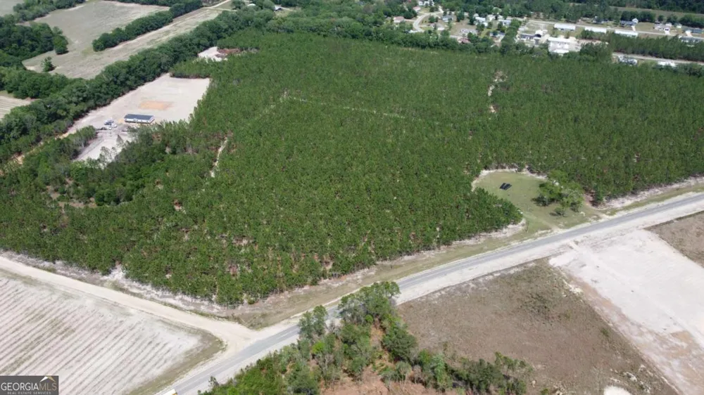 4690 Godwin RD Blackshear, GA 31516