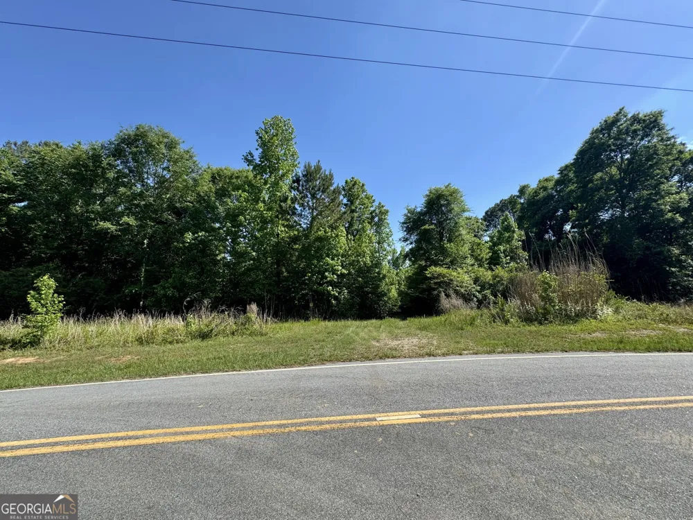 0 Leslie Mill RD Greensboro, GA 30642