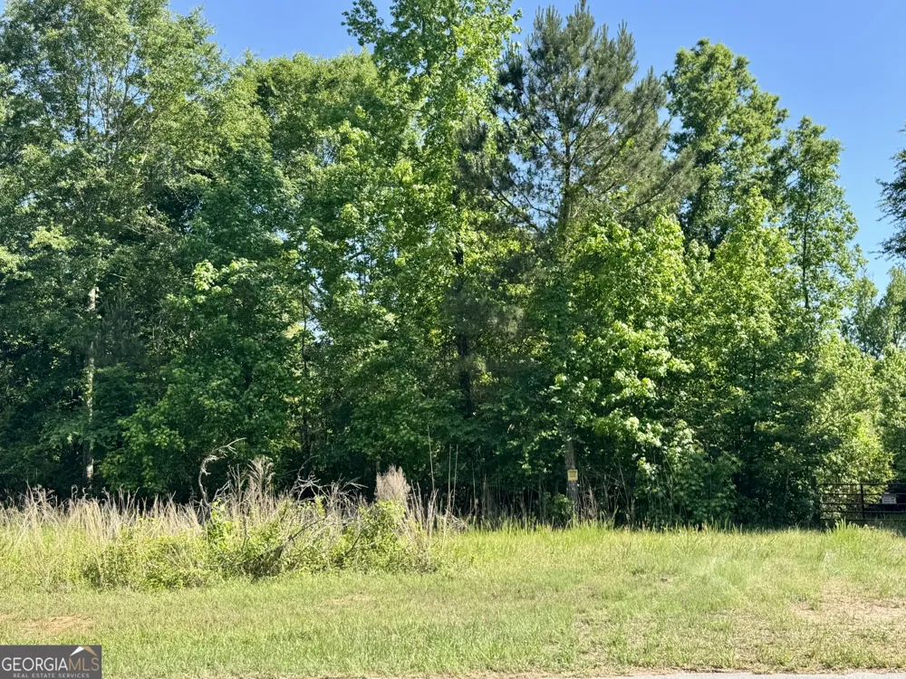 0 Leslie Mill RD Greensboro, GA 30642