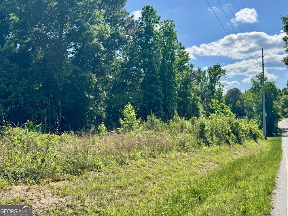 0 Leslie Mill RD Greensboro, GA 30642