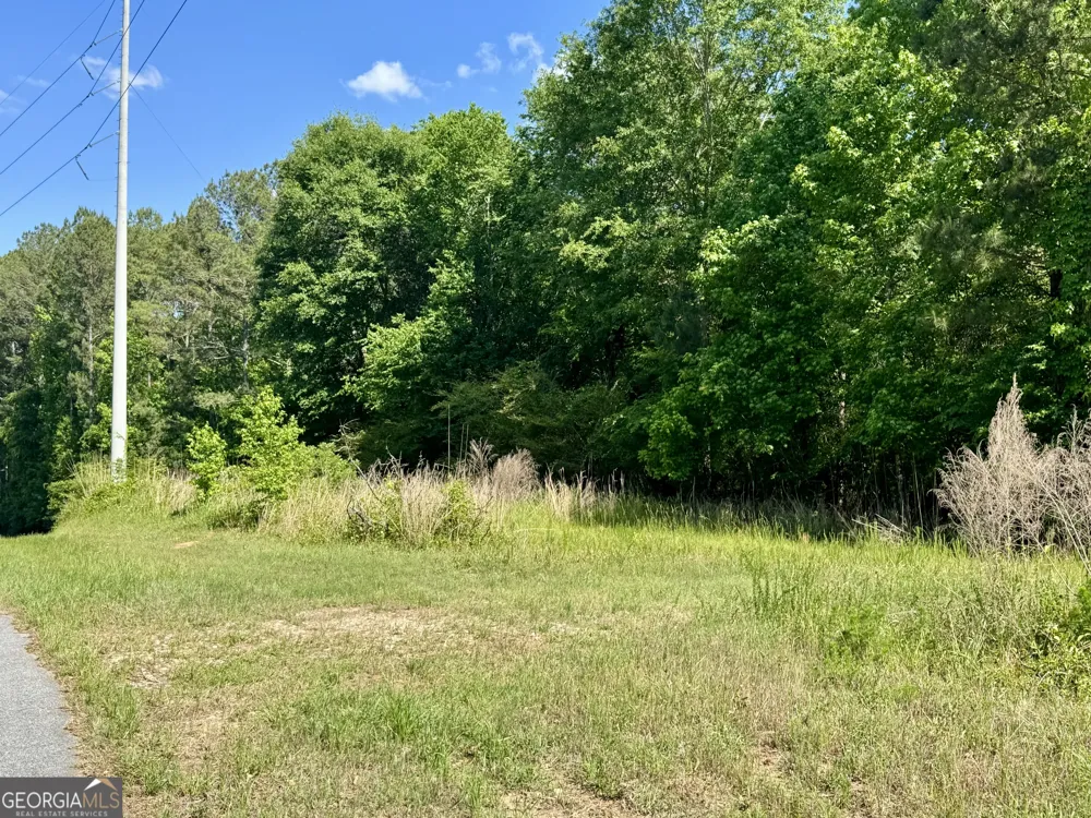0 Leslie Mill RD Greensboro, GA 30642