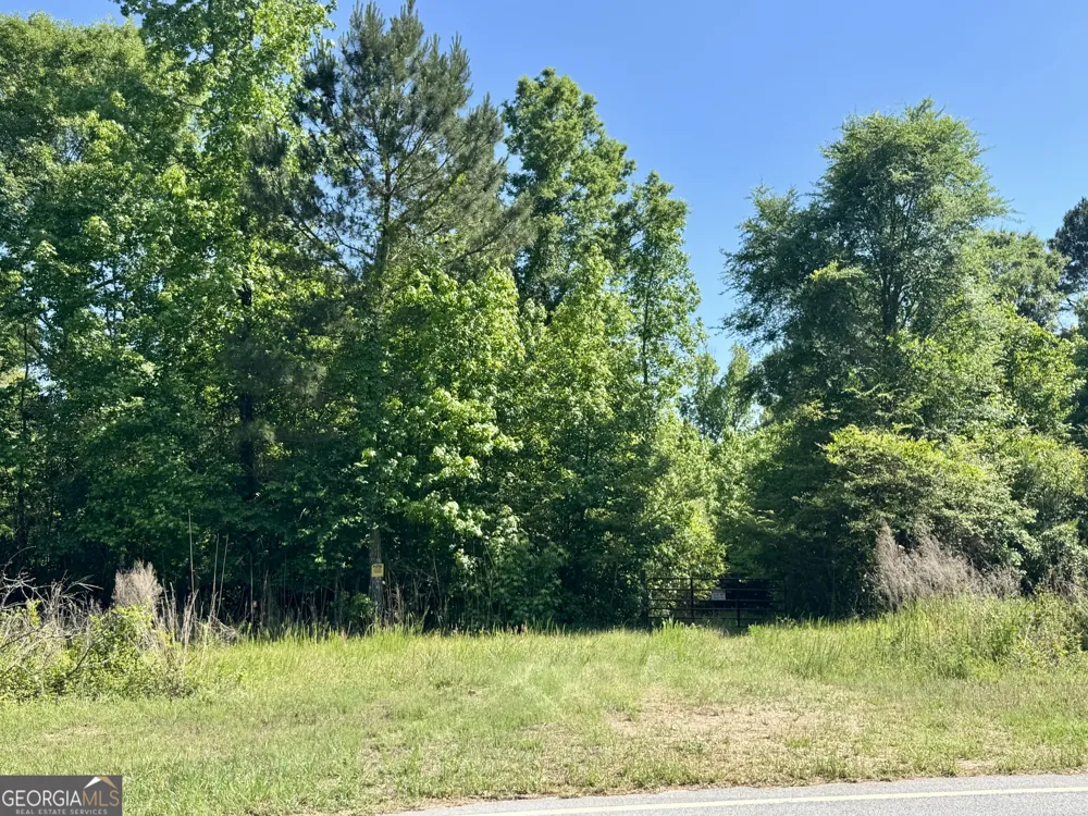 0 Leslie Mill RD Greensboro, GA 30642