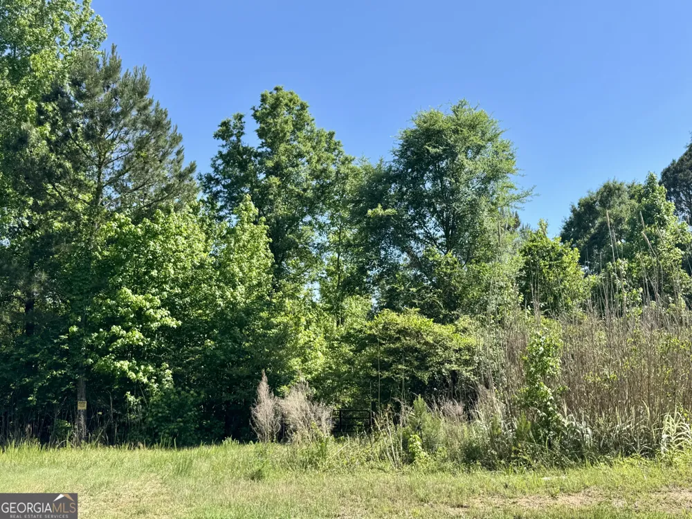 0 Leslie Mill RD Greensboro, GA 30642
