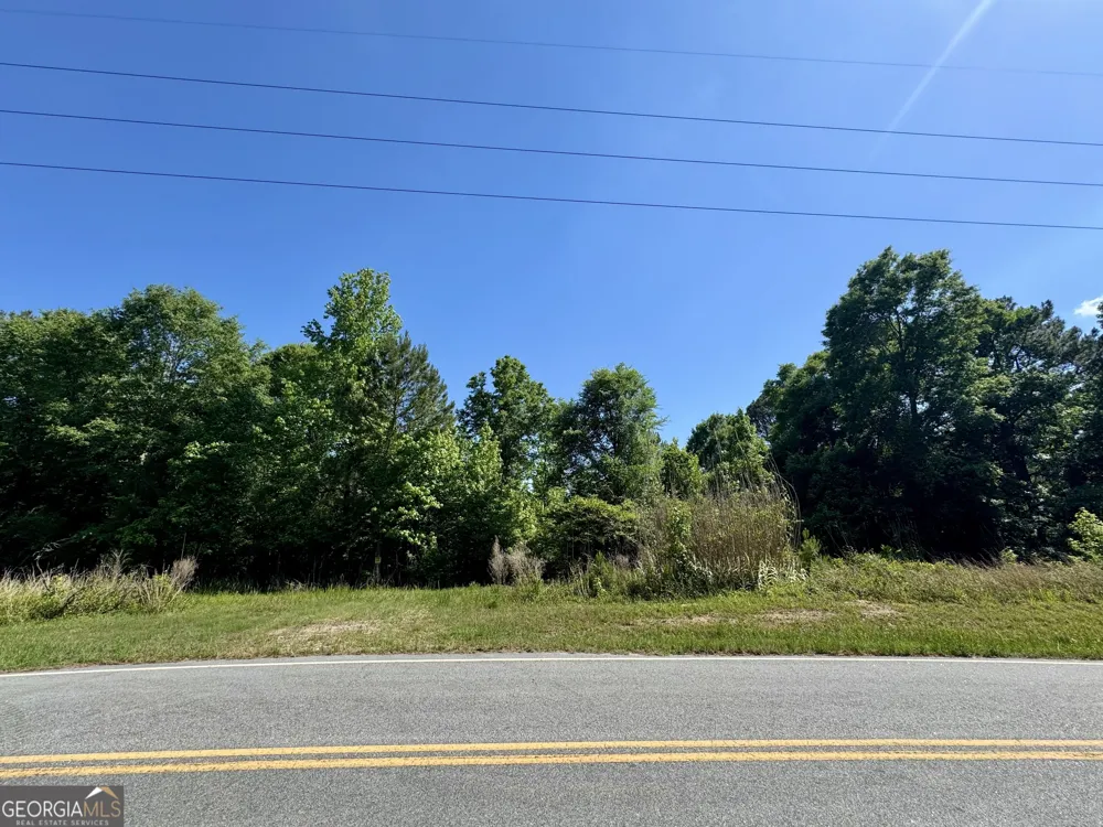 0 Leslie Mill RD Greensboro, GA 30642