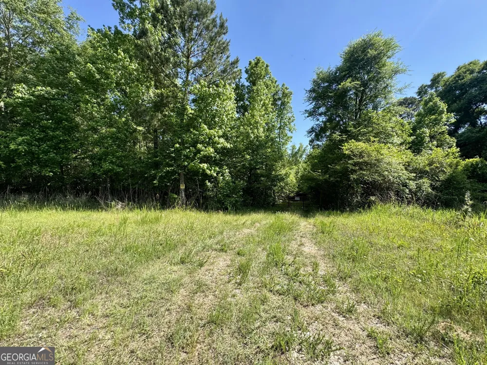 0 Leslie Mill RD Greensboro, GA 30642