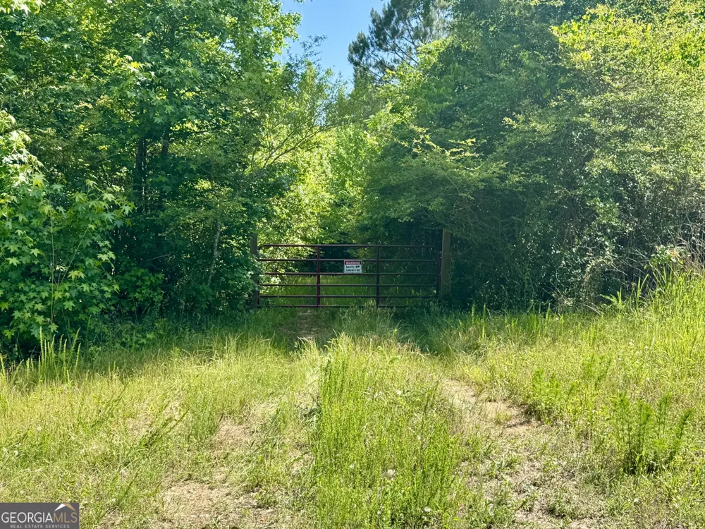 0 Leslie Mill RD Greensboro, GA 30642