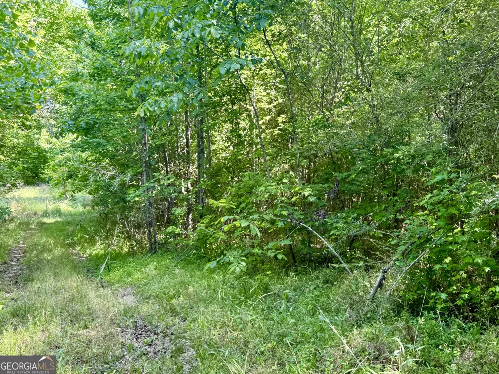 0 Leslie Mill RD Greensboro, GA 30642