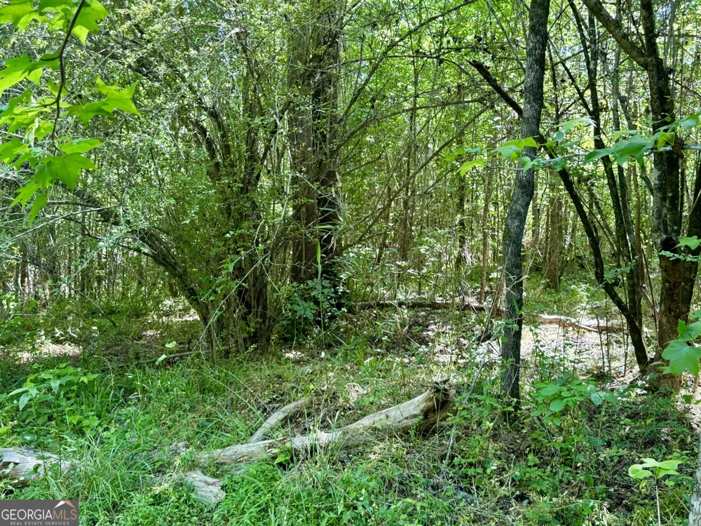 0 Leslie Mill RD Greensboro, GA 30642