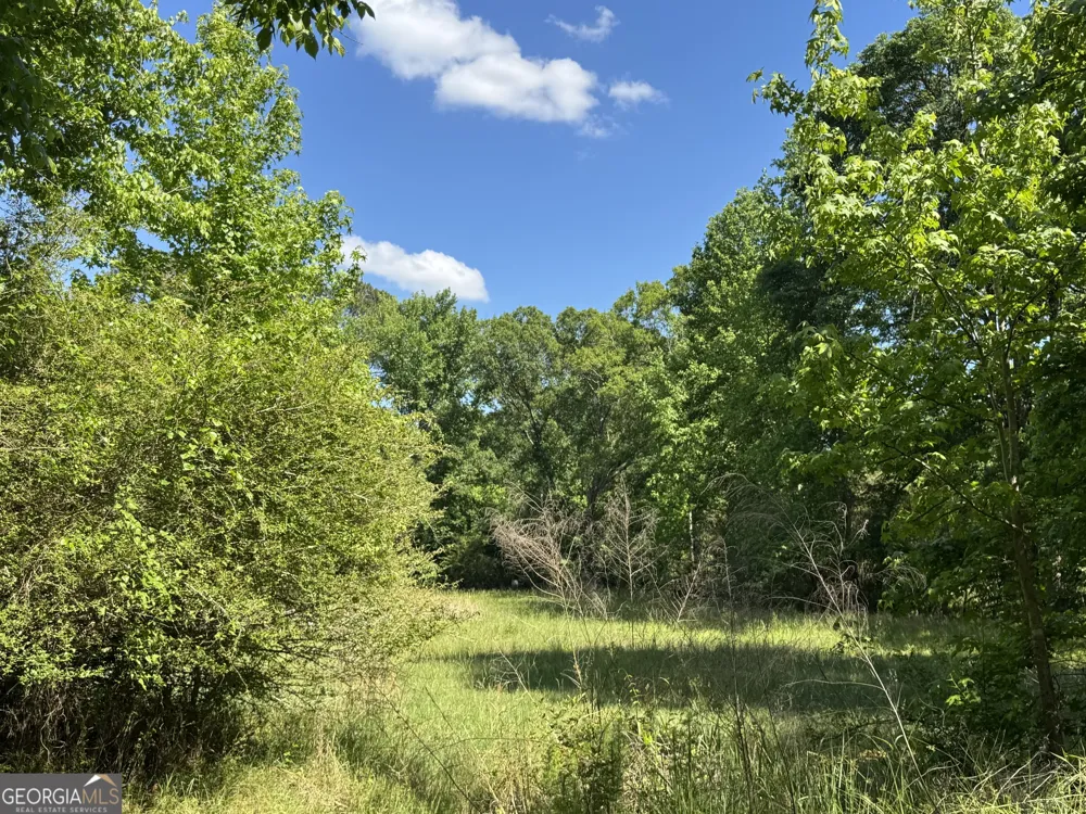 0 Leslie Mill RD Greensboro, GA 30642