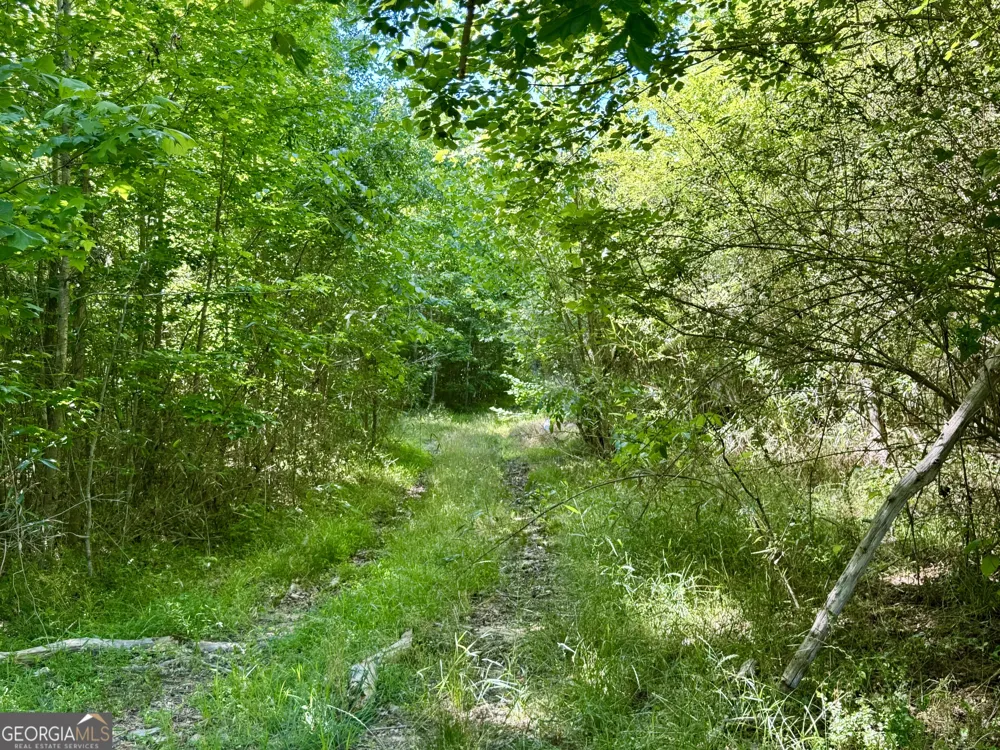 0 Leslie Mill RD Greensboro, GA 30642