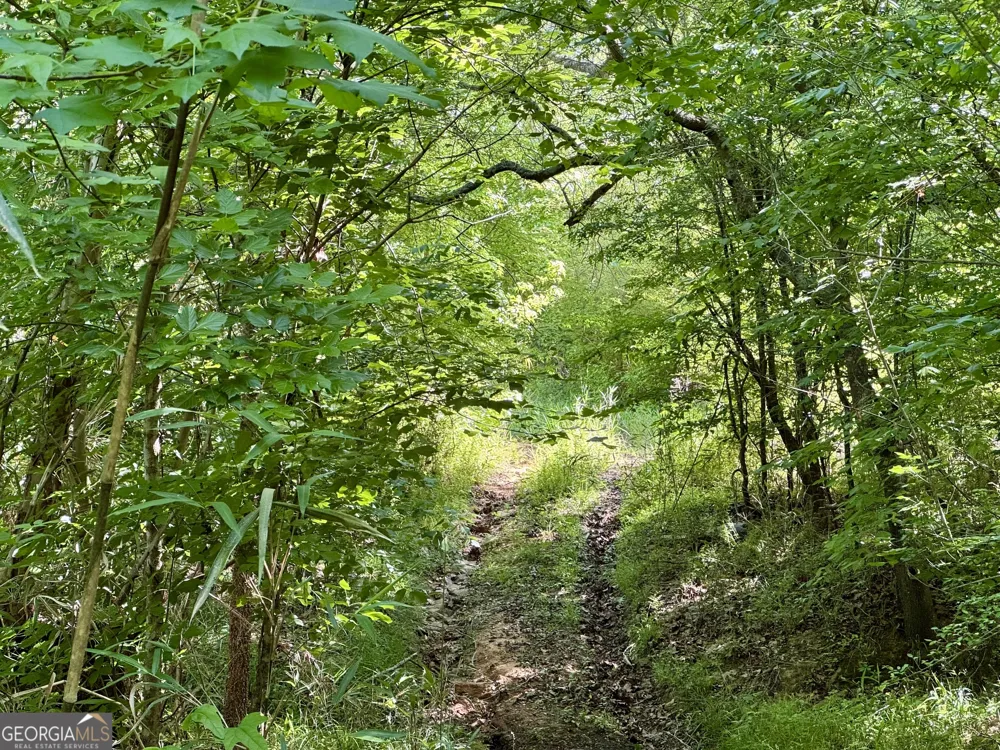 0 Leslie Mill RD Greensboro, GA 30642