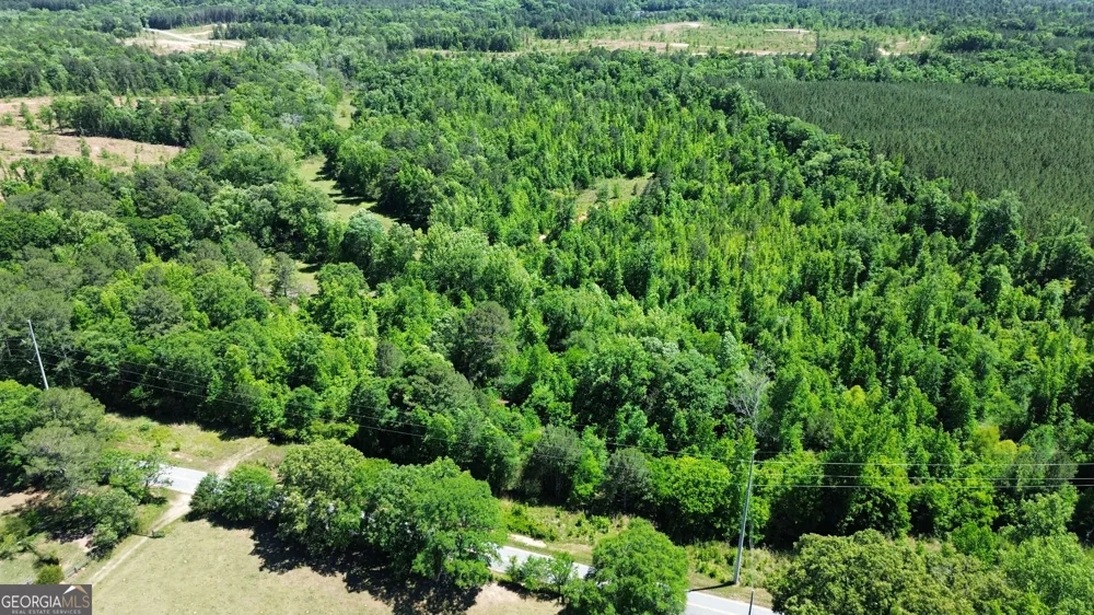 0 Leslie Mill RD Greensboro, GA 30642