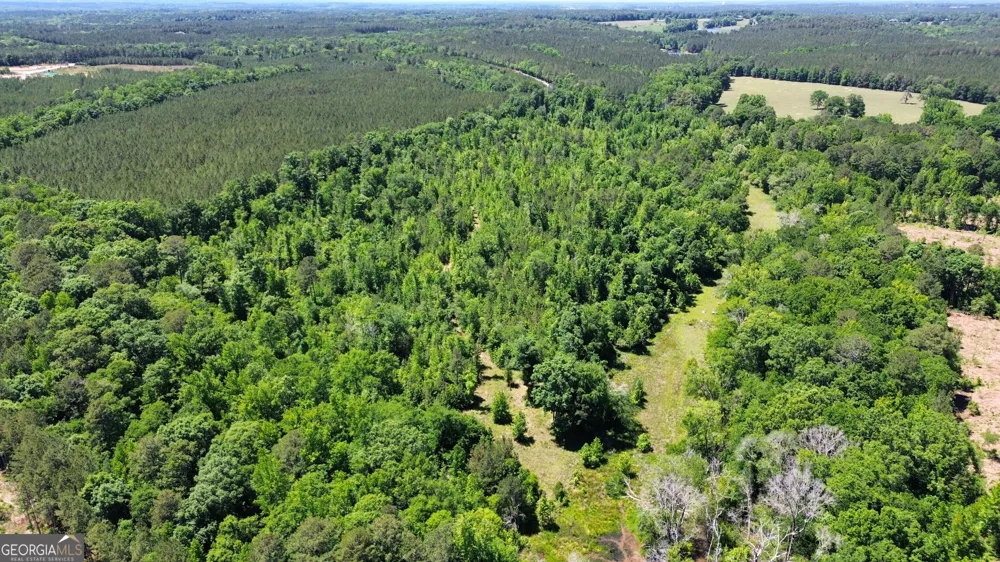 0 Leslie Mill RD Greensboro, GA 30642