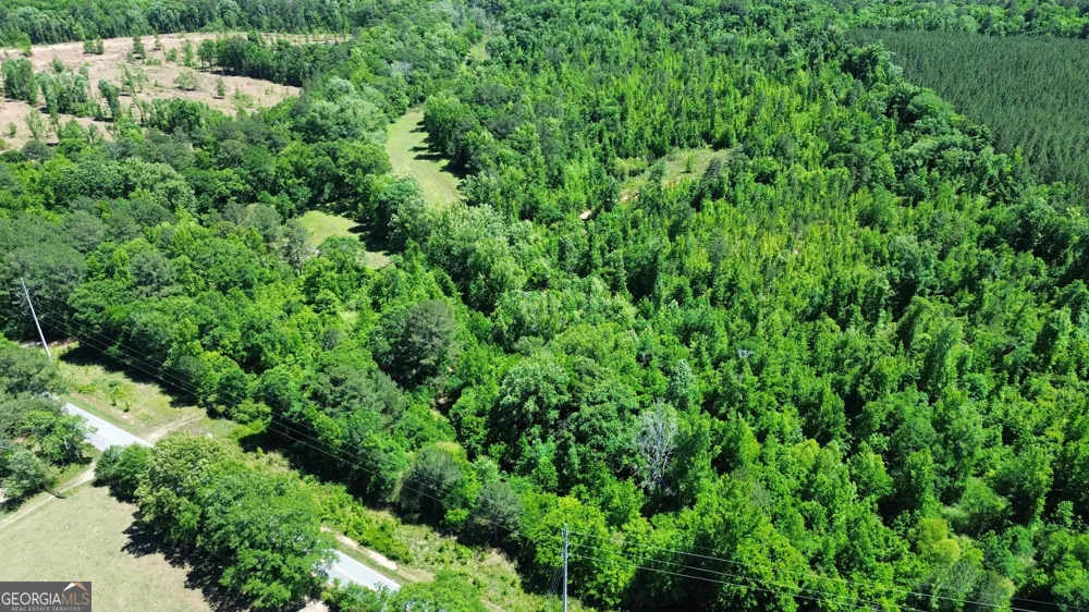 0 Leslie Mill RD Greensboro, GA 30642