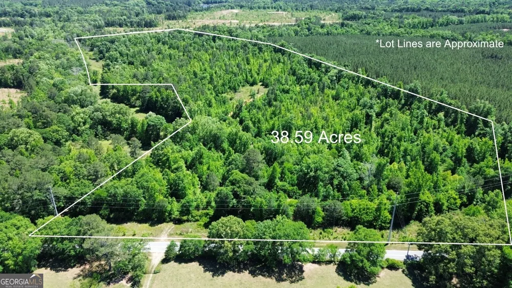 0 Leslie Mill RD Greensboro, GA 30642