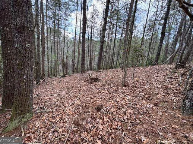 0 Horseshoe Bend RD Dahlonega, GA 30533