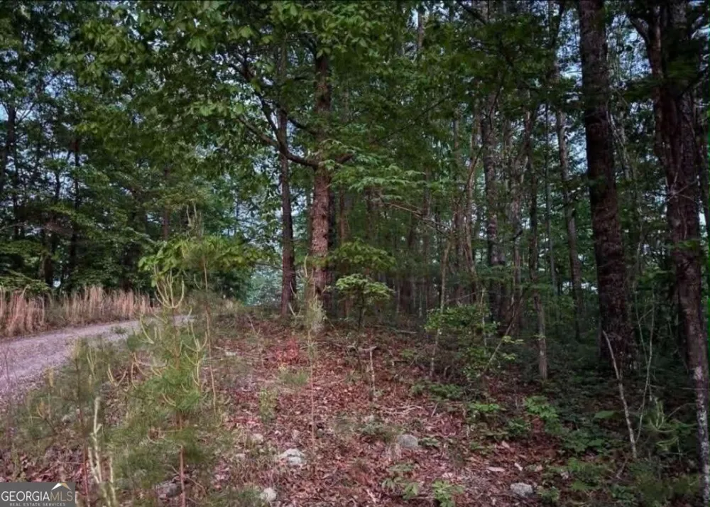 562 Neptune CIR NE Ranger, GA 30734