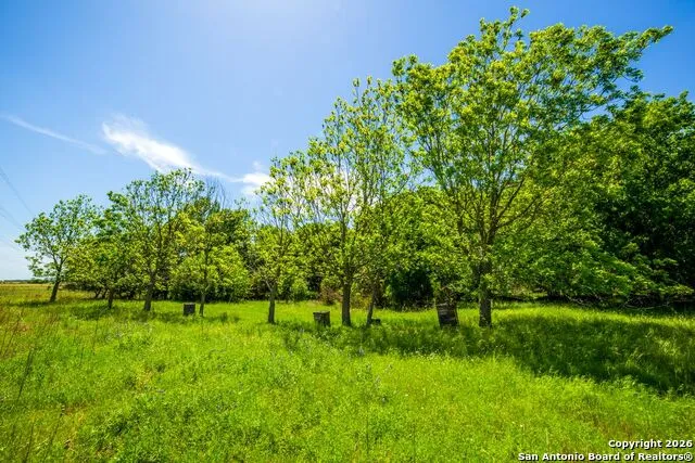 8623 Huber Road Seguin, TX 78155