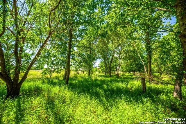 8623 Huber Road Seguin, TX 78155