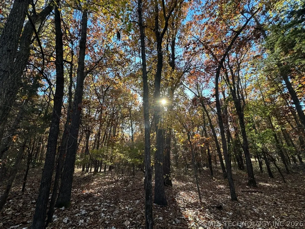 Lakeview Drive Sand Springs, OK 74063