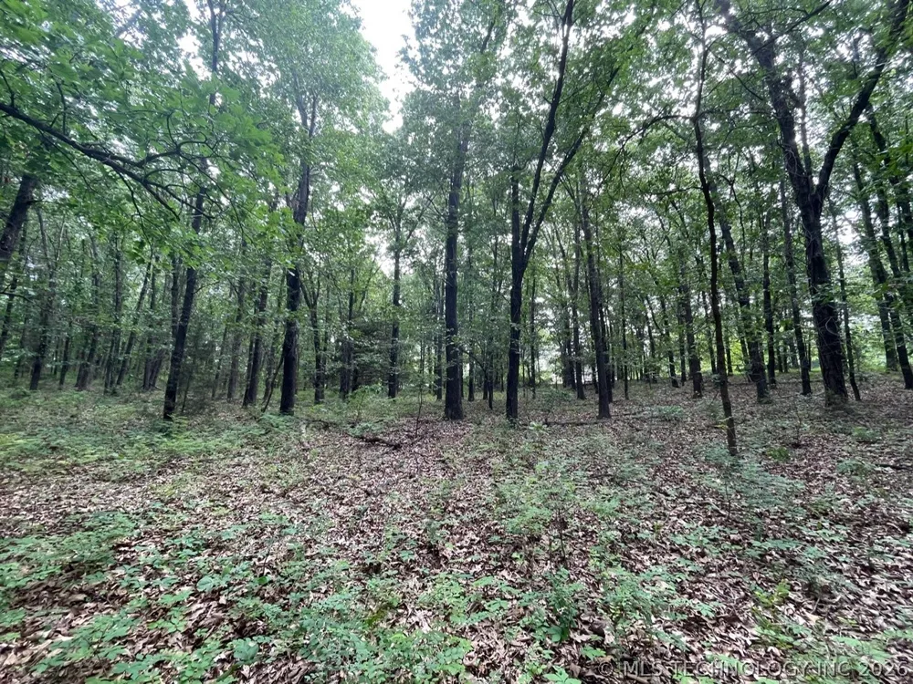 Lakeview Drive Sand Springs, OK 74063