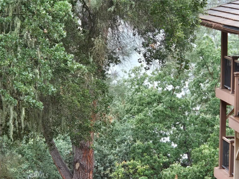 2872 Saddle Way Bradley, CA 93426