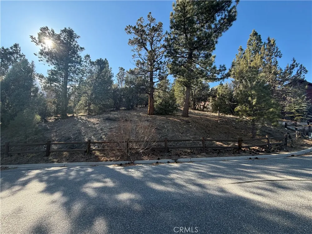 248 Echo Hill Big Bear Lake, CA 92315