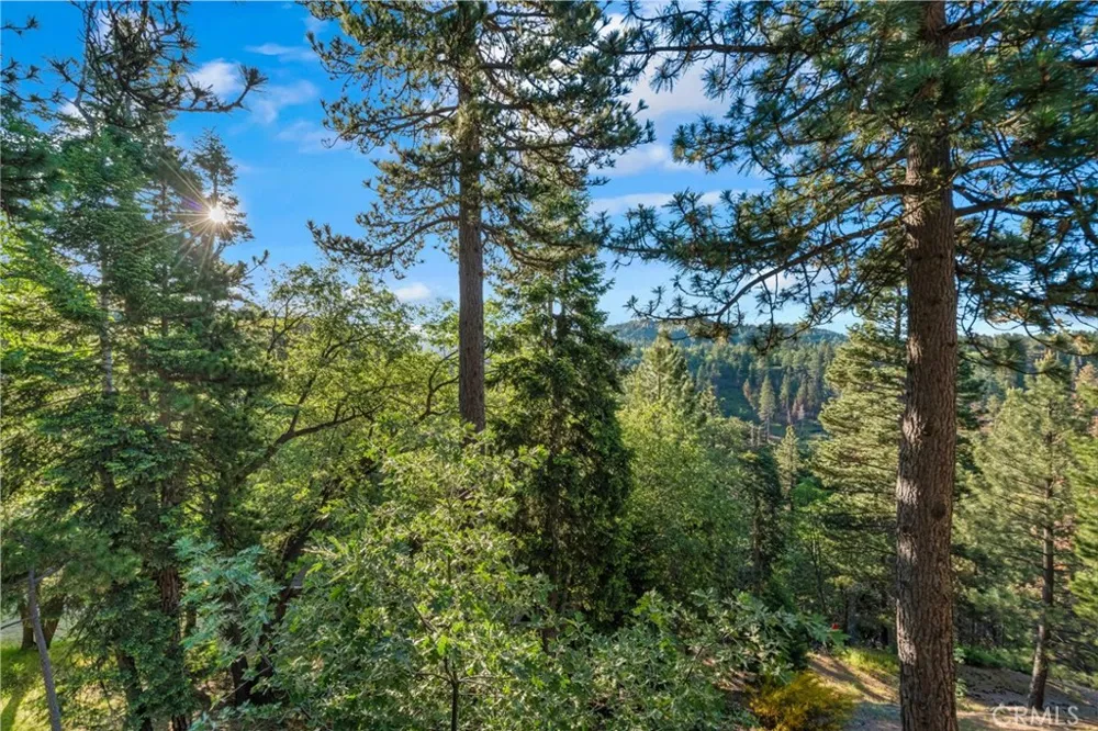 32061 Pine Cone Running Springs, CA 92382