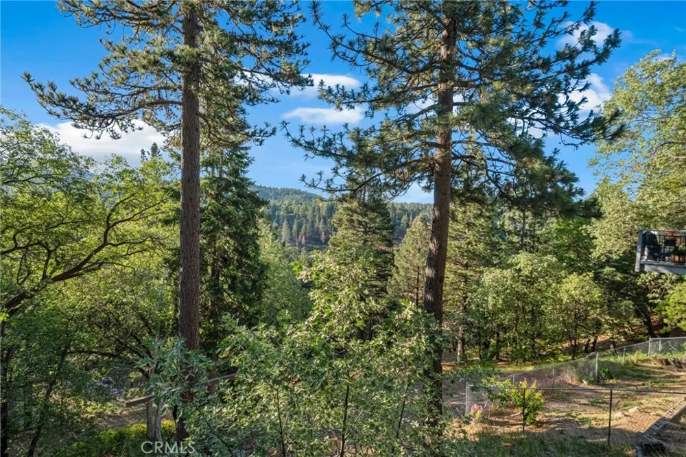 32061 Pine Cone Running Springs, CA 92382