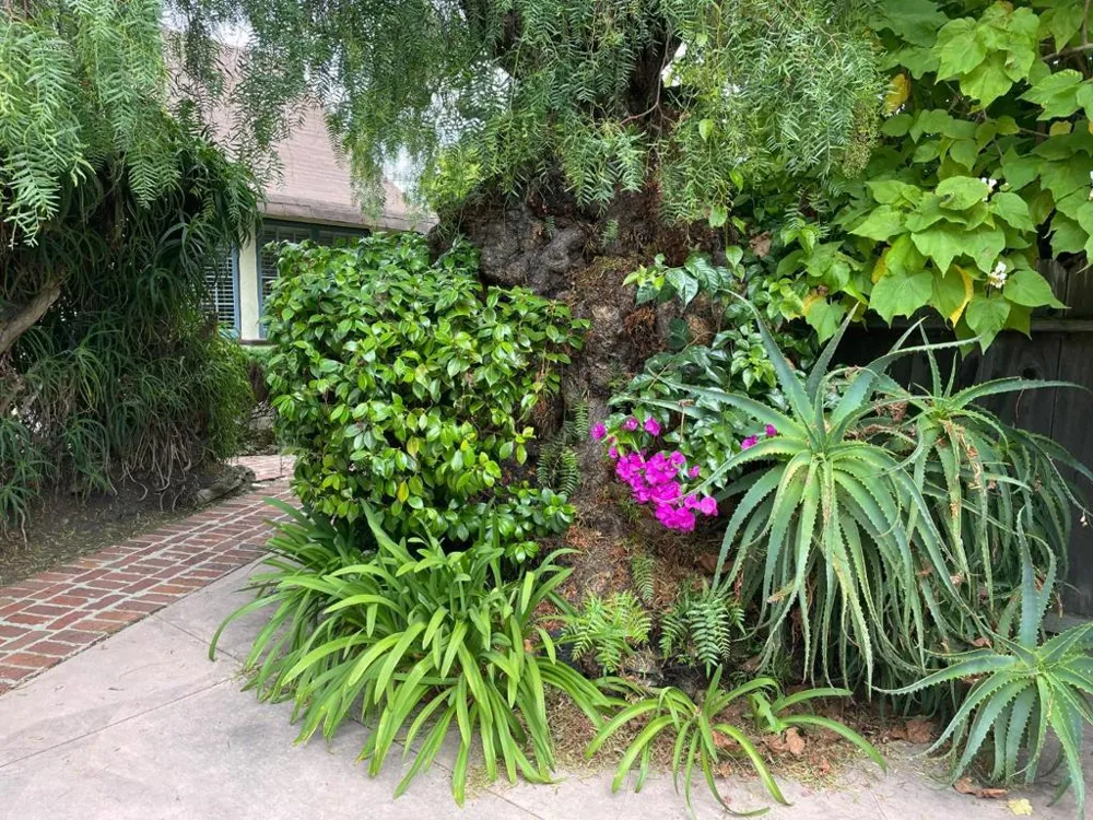 W Franklin Street Monterey, CA 93940