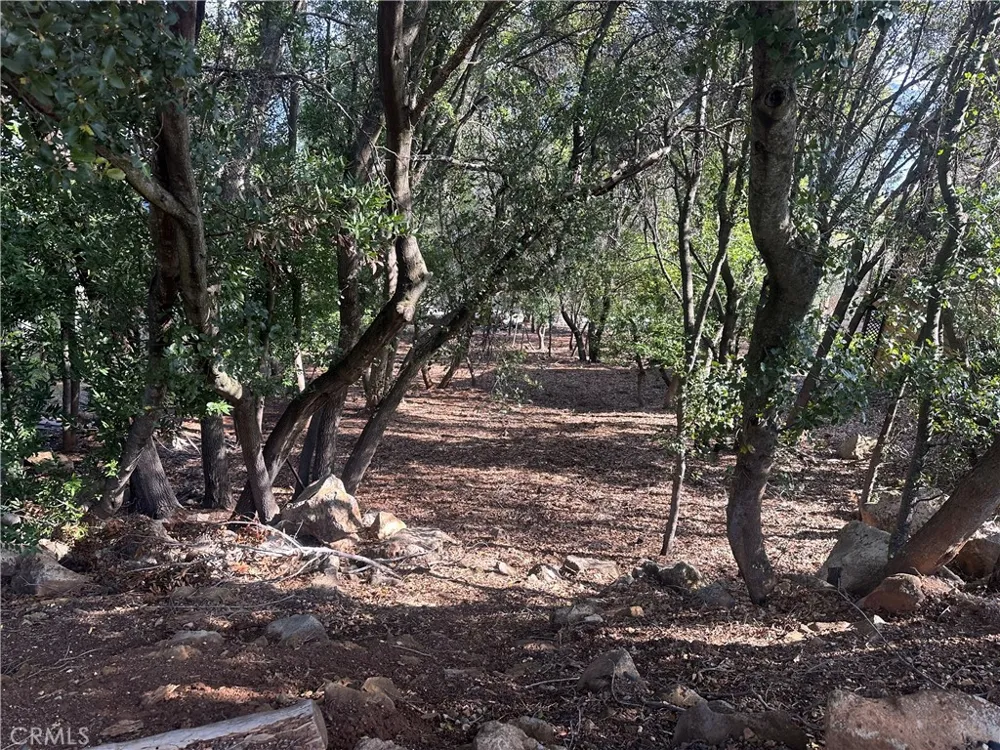 3470 Shoreline View Way Kelseyville, CA 95451