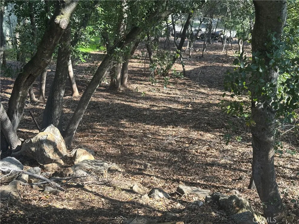 3470 Shoreline View Way Kelseyville, CA 95451