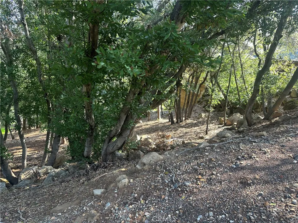 3470 Shoreline View Way Kelseyville, CA 95451