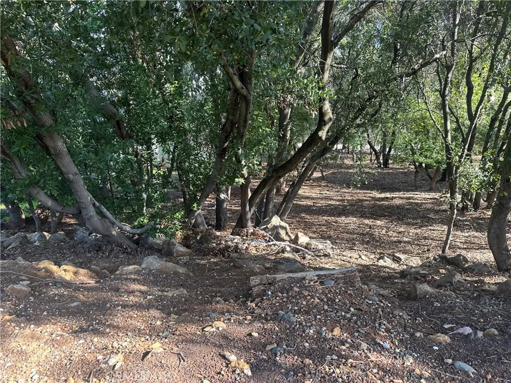 3470 Shoreline View Way Kelseyville, CA 95451
