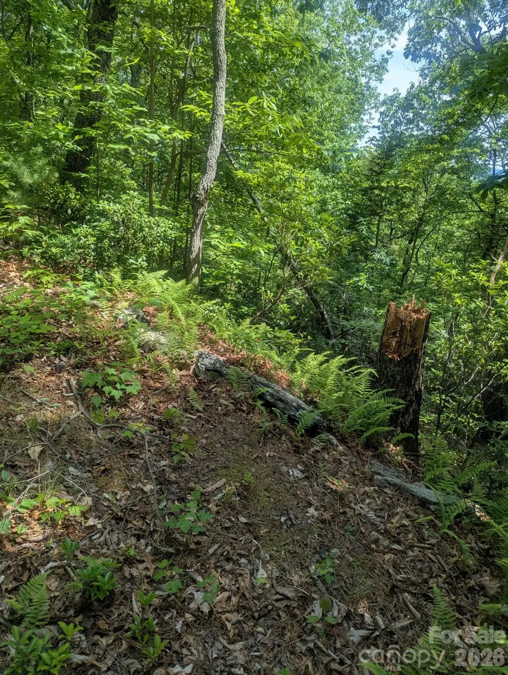 1662 Penley Road Lenoir, NC 28645